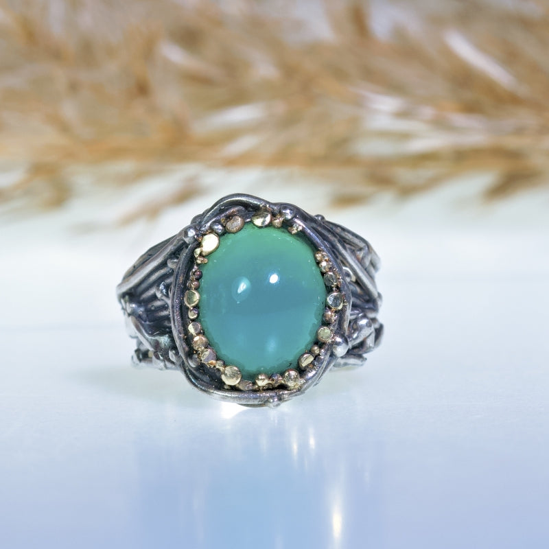 Ring Galaxy with gemsilica