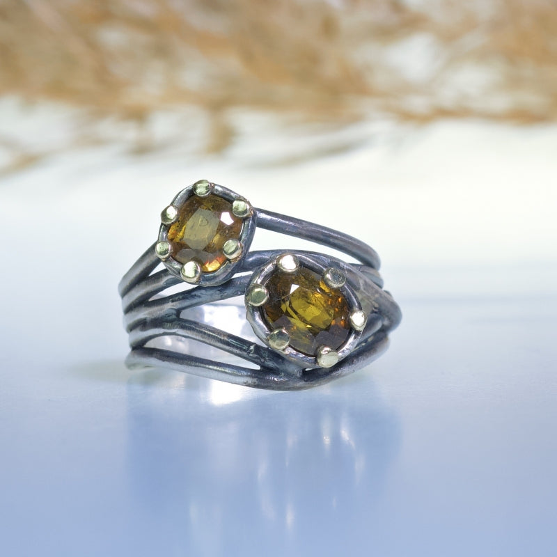 Ring Galaxy with two sphenes