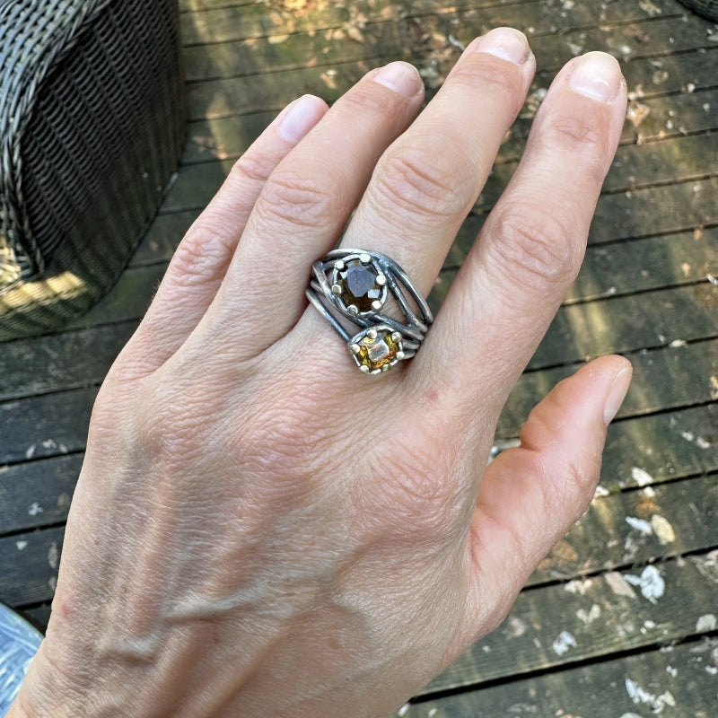 Ring Galaxy with two sphenes
