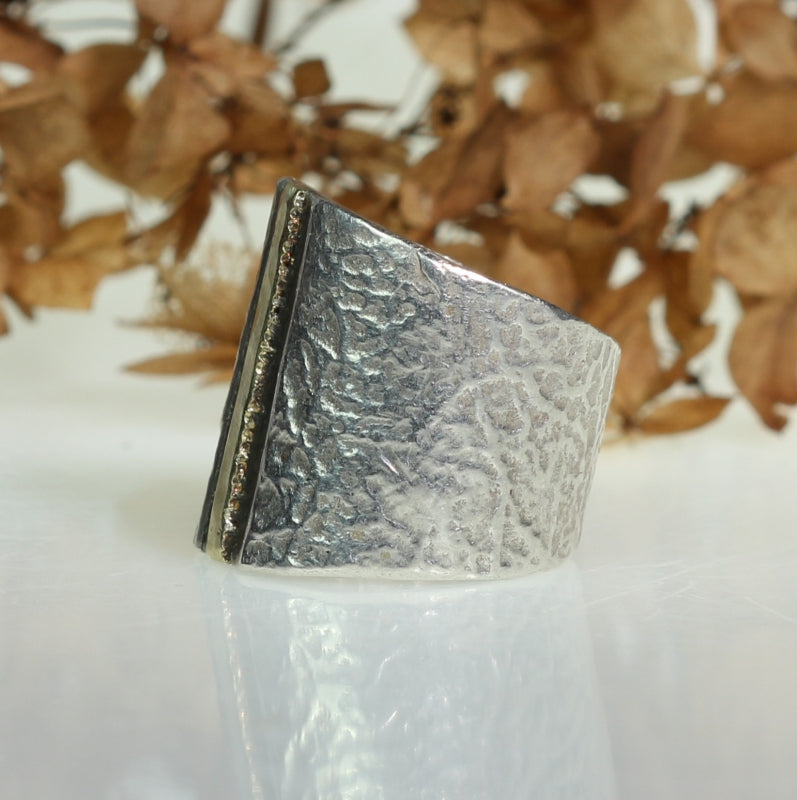Ring Simply metals with structure and gold line