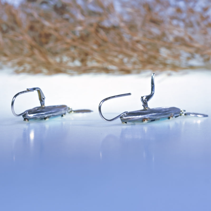 Earrings with Indonesian opalized wood and silver fringe