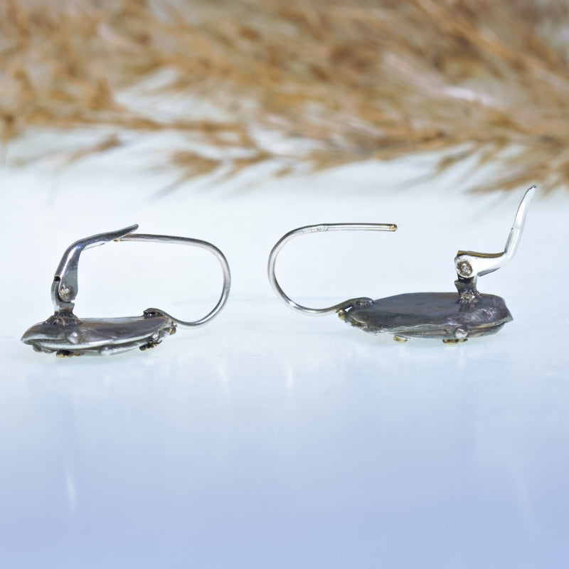 Earrings with Abalone shell