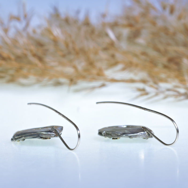 Drop earrings with ammonite with turquoise inlay