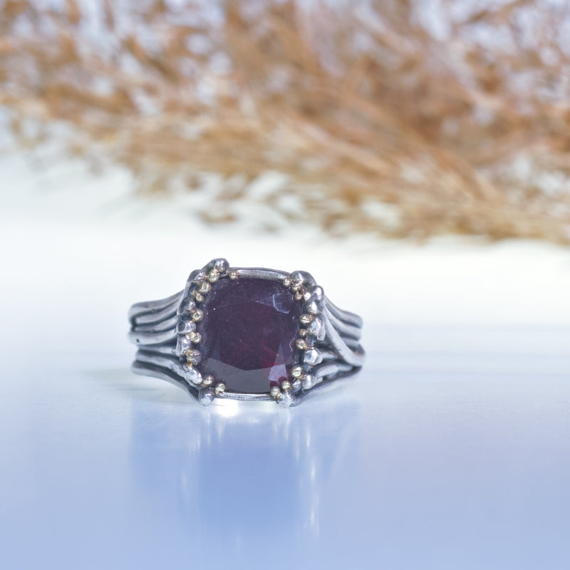 Ring Galaxy with garnet