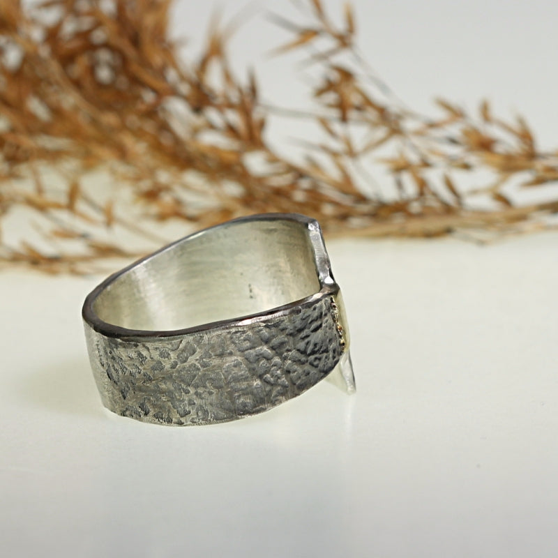 Asymetric ring Simply metals with structure