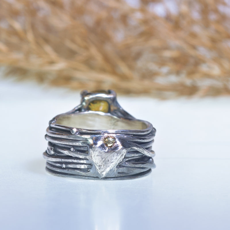 Wide ring Galaxy with sphene
