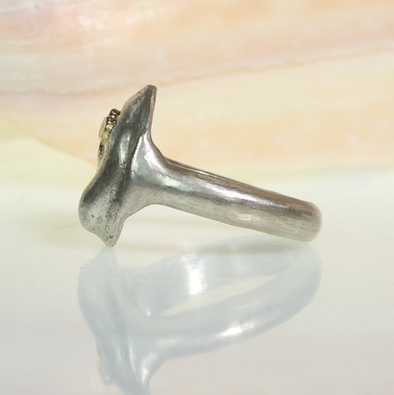 Ring Simply metals