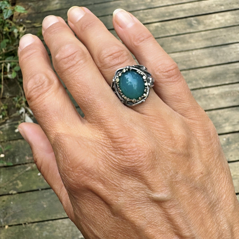 Ring Galaxy with gemsilica