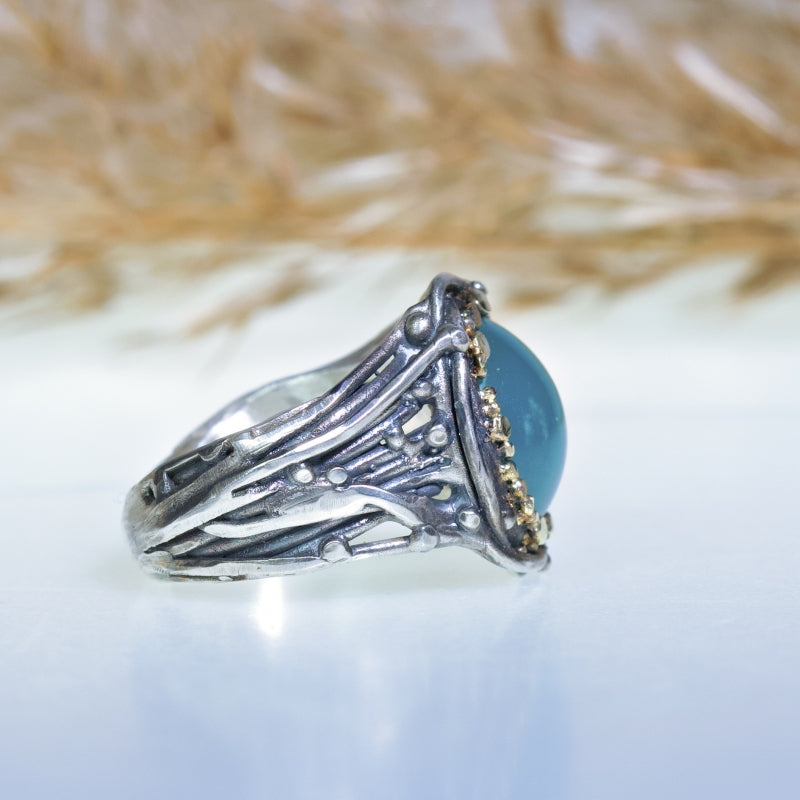 Ring Galaxy with gemsilica