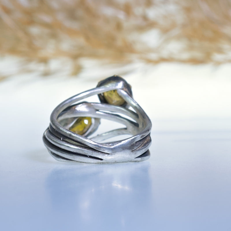 Ring Galaxy with two sphenes