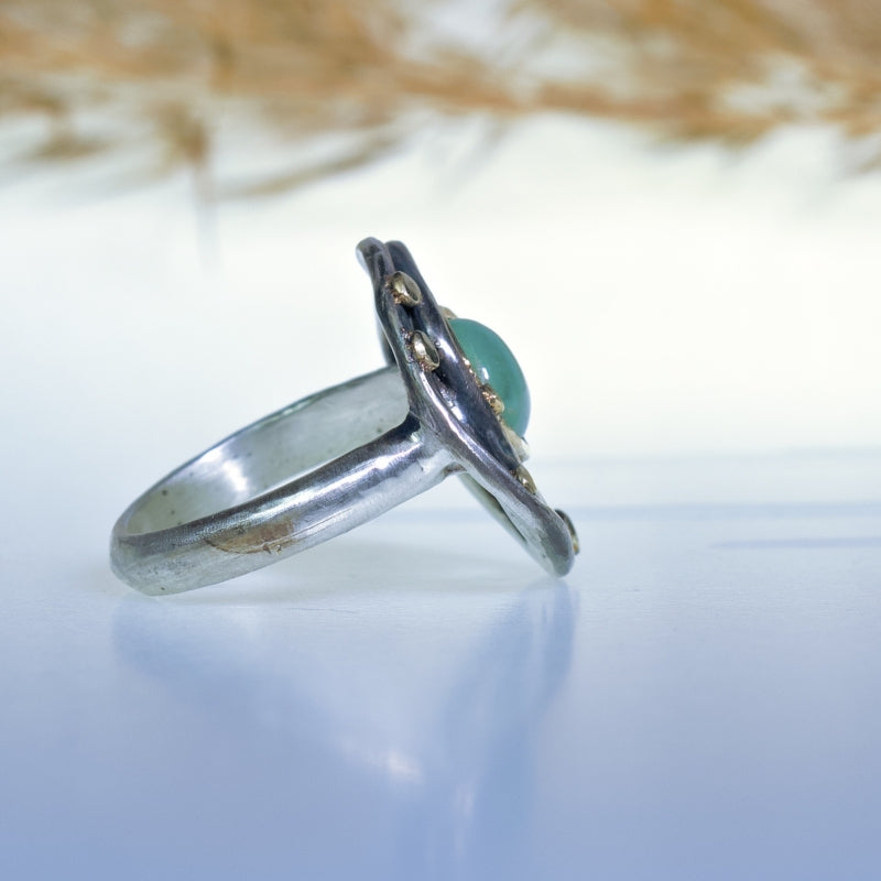 Ring Galaxy with gem silica