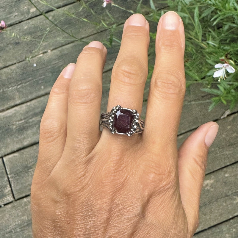 Ring Galaxy with garnet