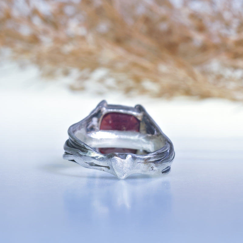 Ring Galaxy with garnet